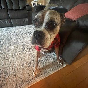 Meet your Posher, Jason